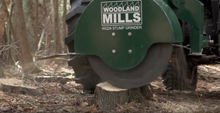 WG24 3-Point PTO Stump Grinder with 34 Carbide Teeth